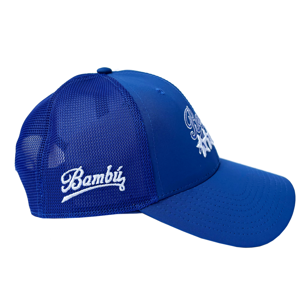 TEAM MESH SNAPBACK