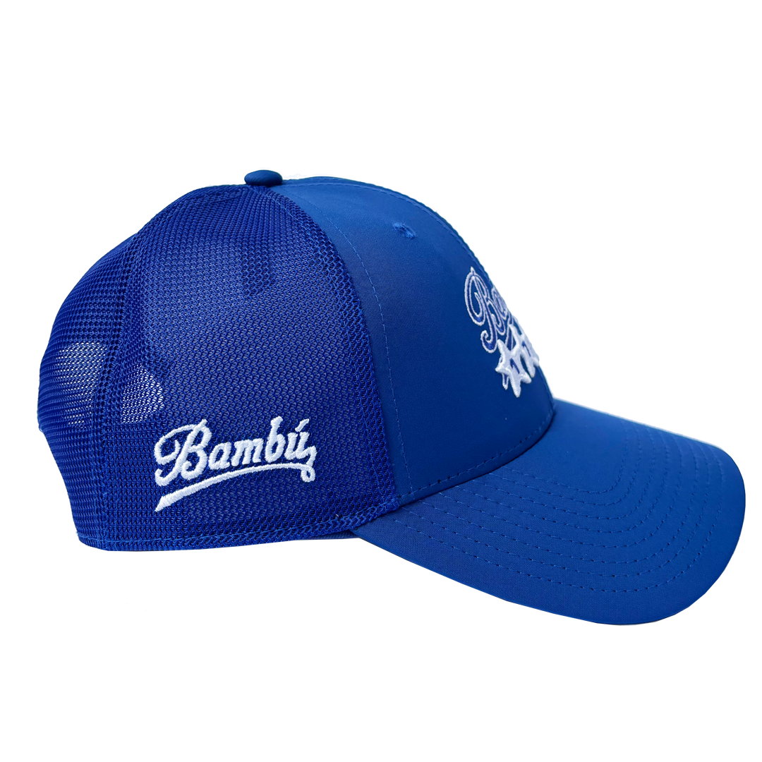 TEAM MESH SNAPBACK