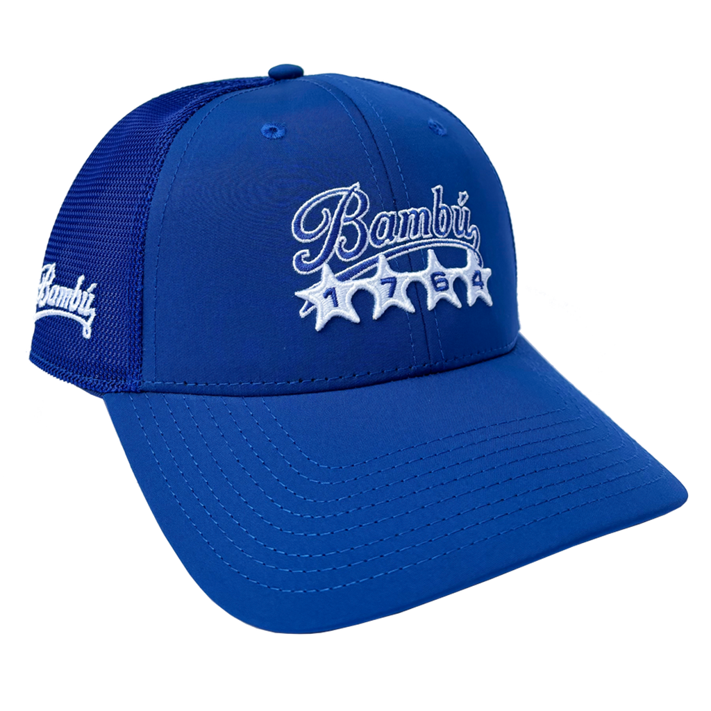 TEAM MESH SNAPBACK