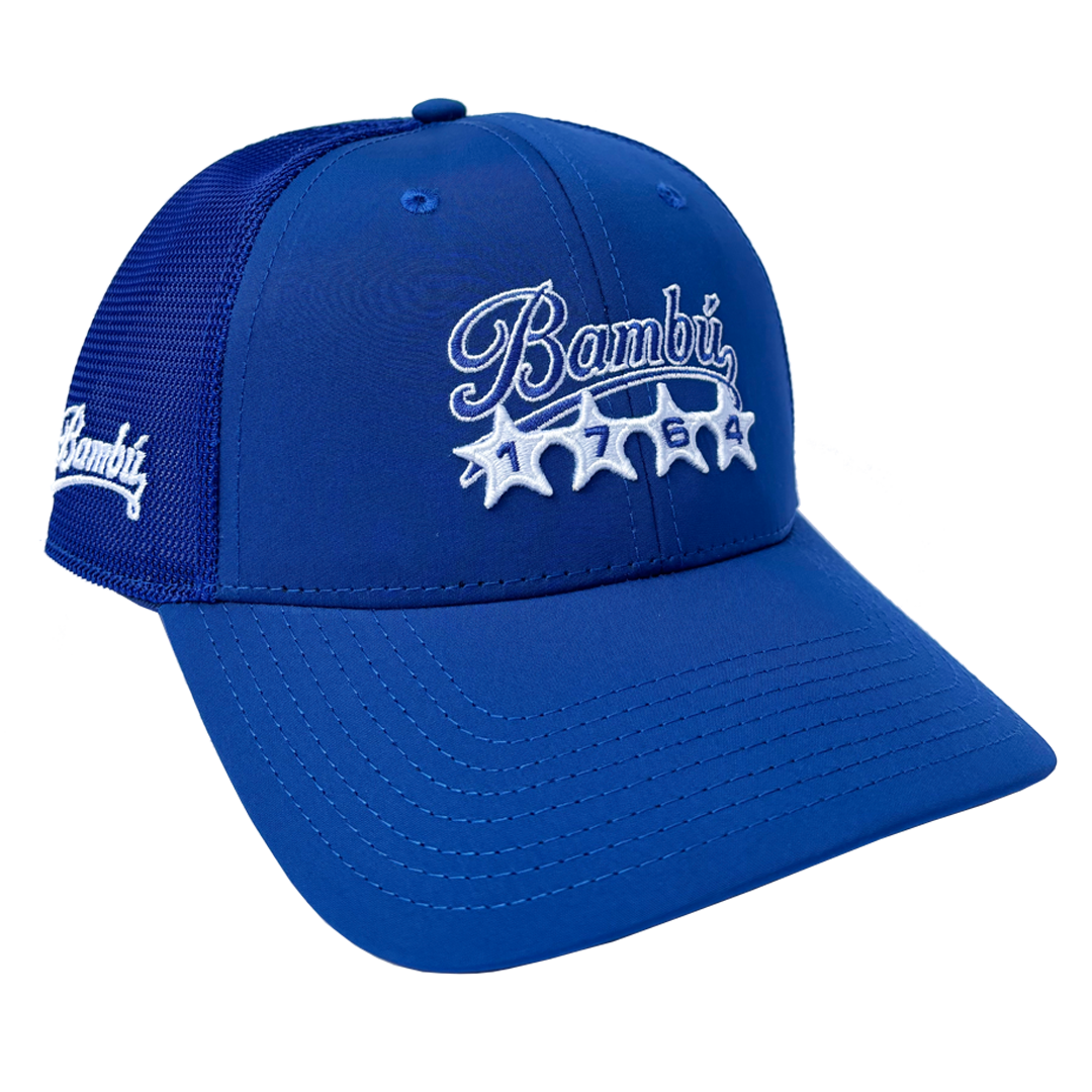 TEAM MESH SNAPBACK
