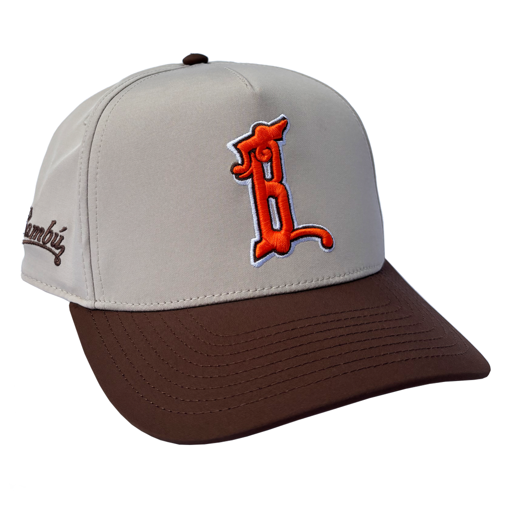 SKATE NYC SNAPBACK
