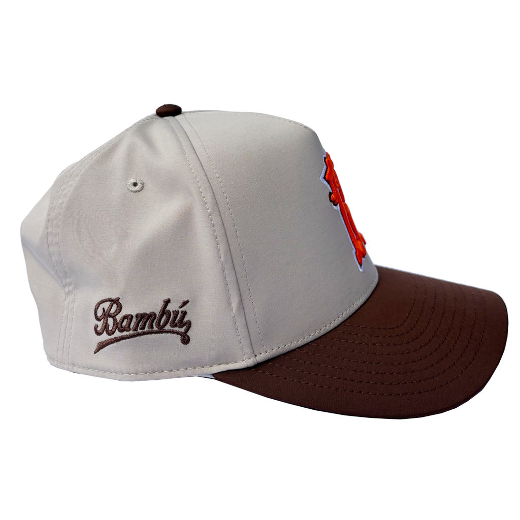 SKATE NYC SNAPBACK