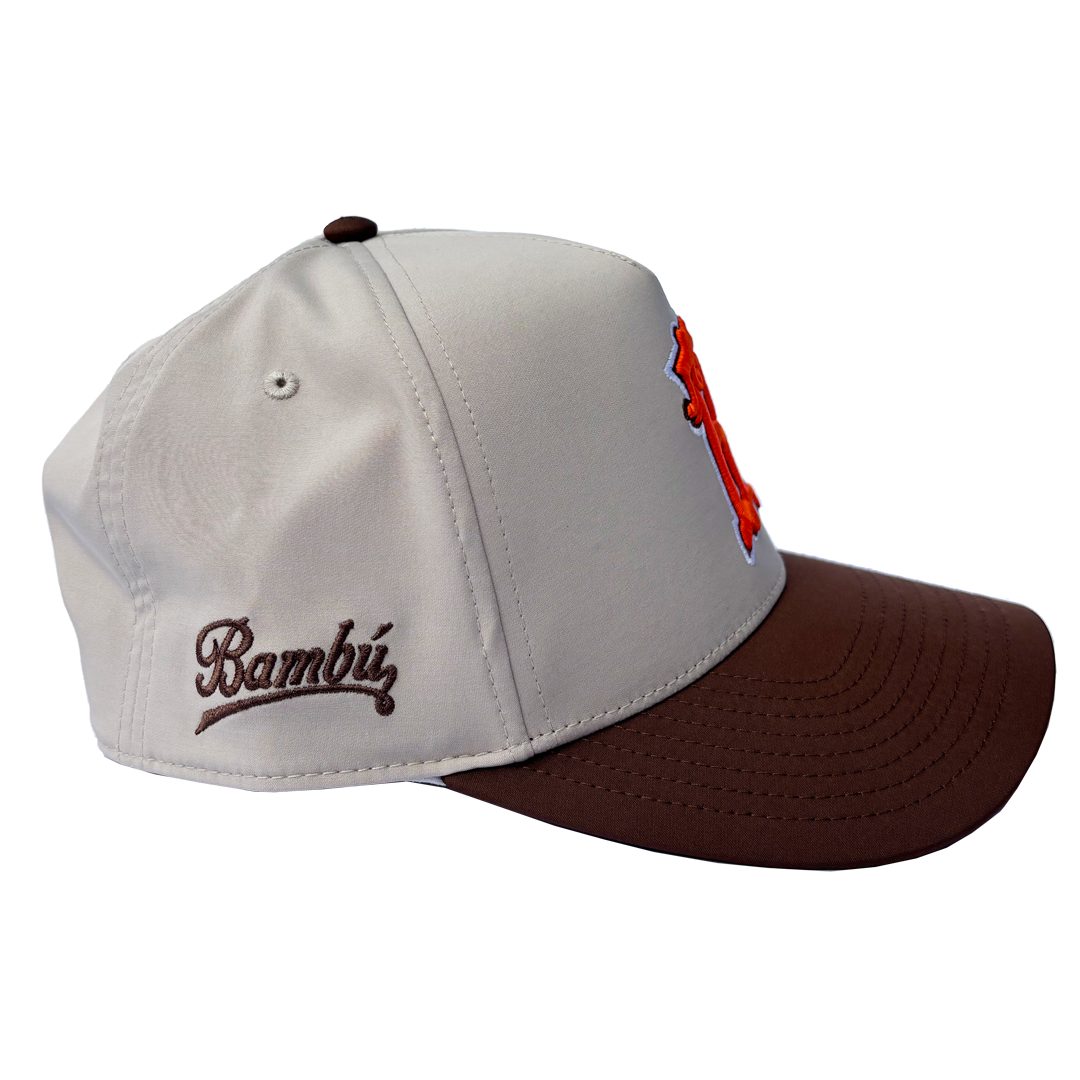 SKATE NYC SNAPBACK