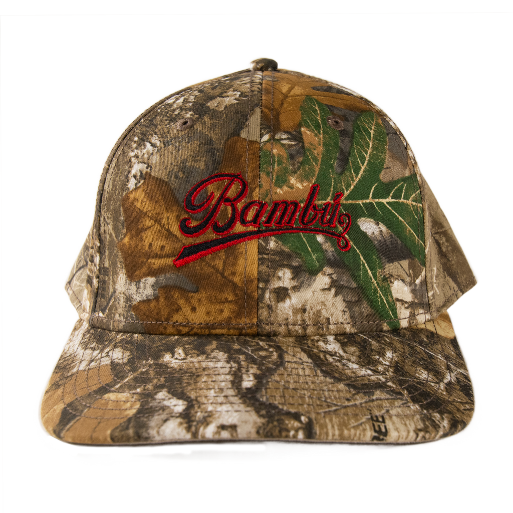 Script Logo Camo Dad Hat
