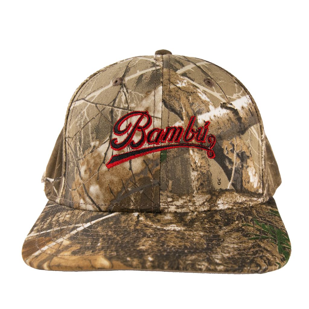 Script Logo Camo Dad Hat