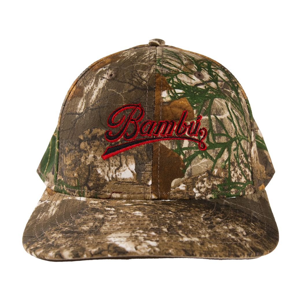 Script Logo Camo Dad Hat